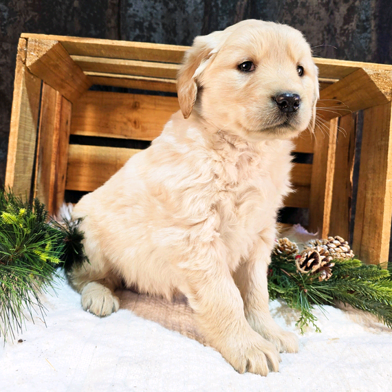 503228533_large Millie