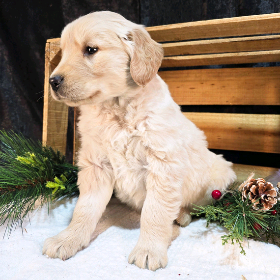 503228536_large Millie