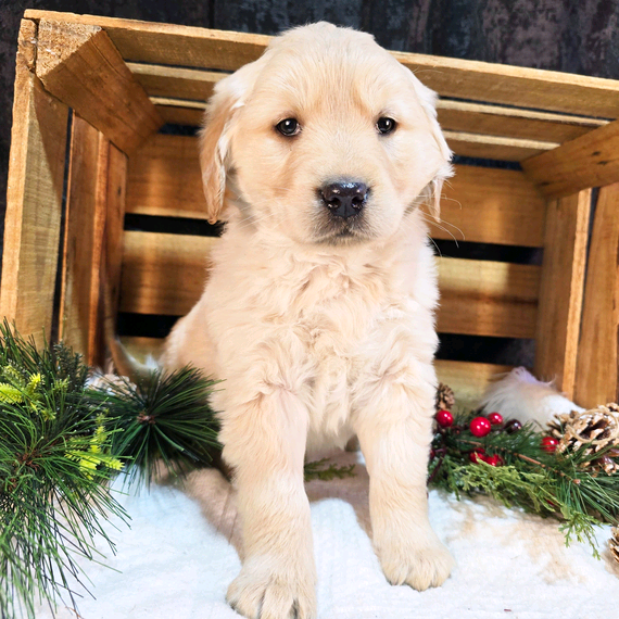 503228539_large Millie
